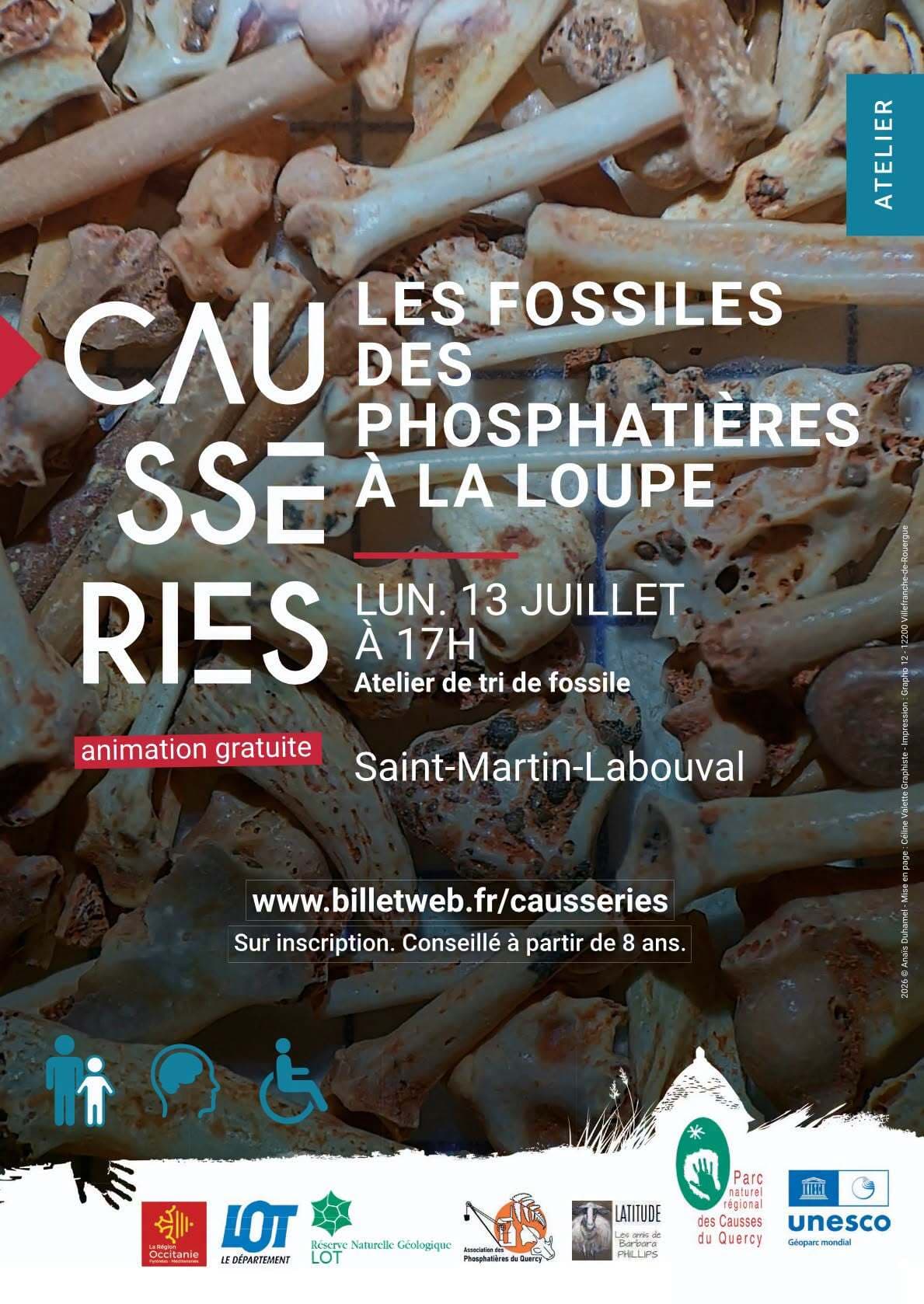 Les fossiles des phosphatières à la loupe
Atelier de tri des fossiles