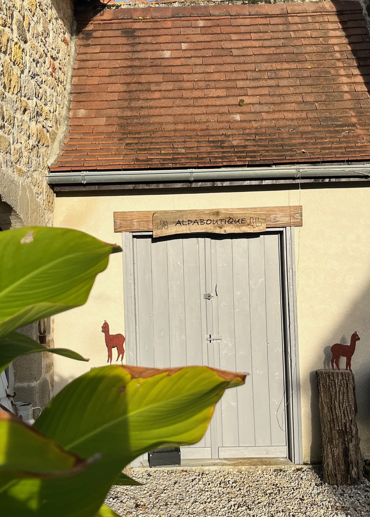 Les Alpacas de Fons