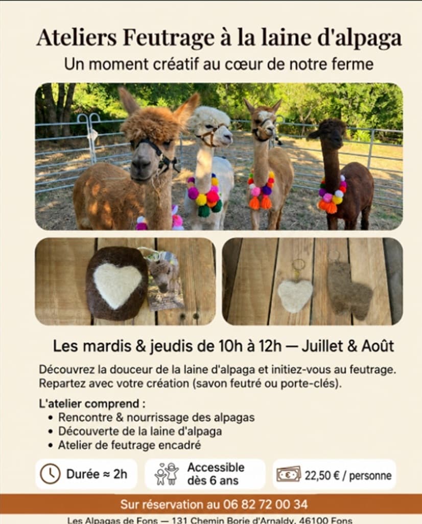 Atelier feutrage Fons 2