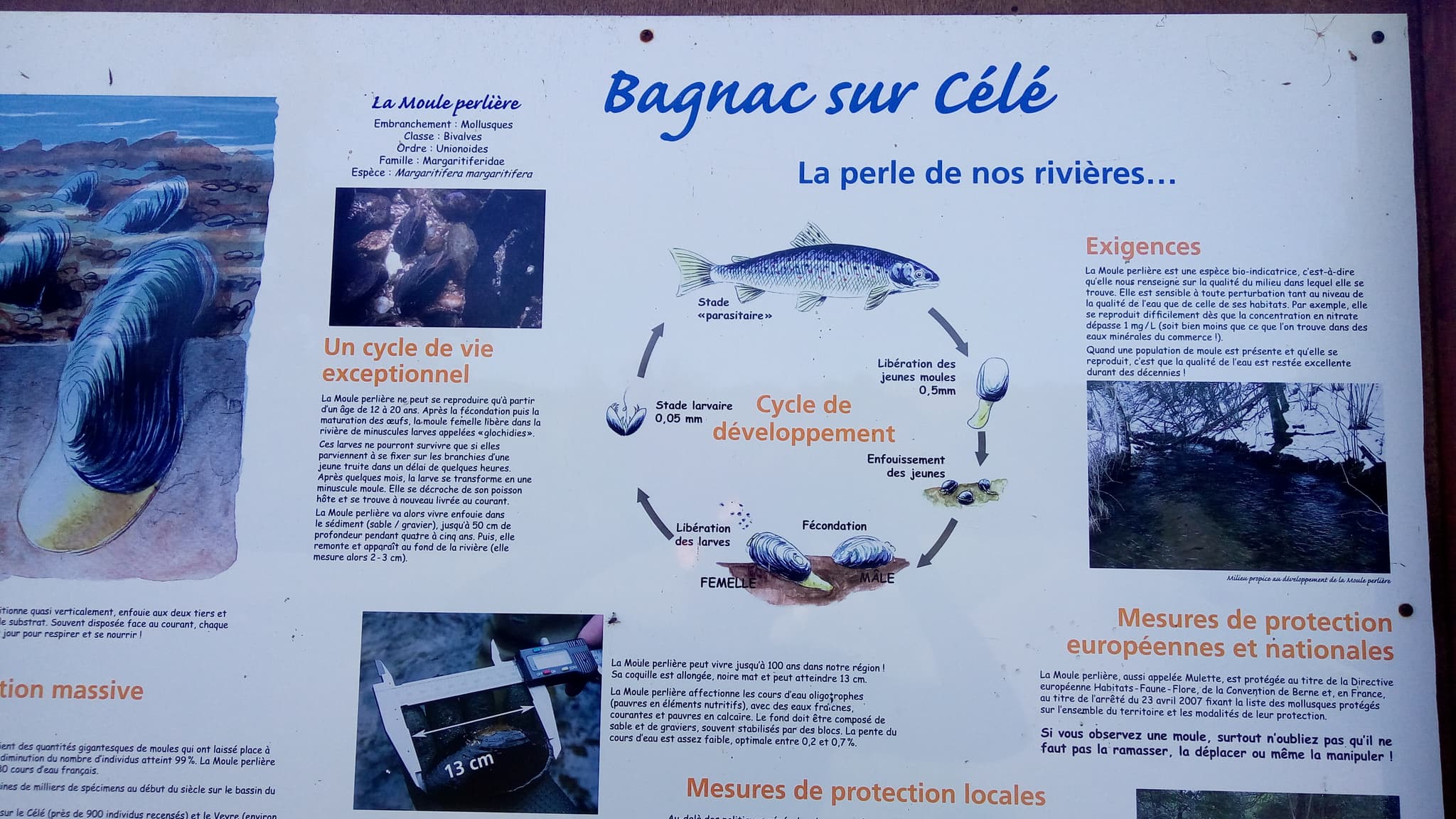 Aire de pique-nique de Bagnac-Sur-Célé