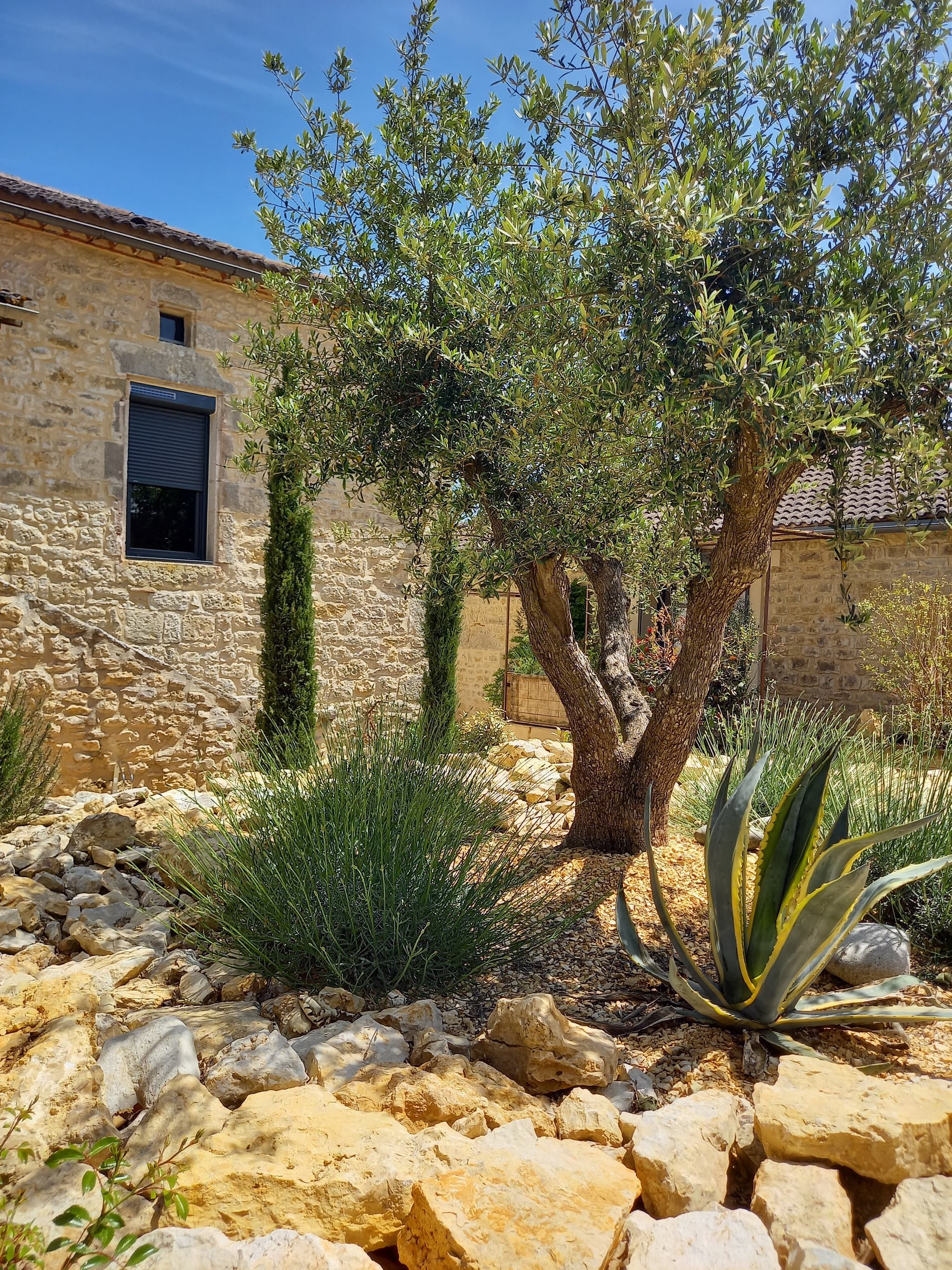 Binnentuin 3