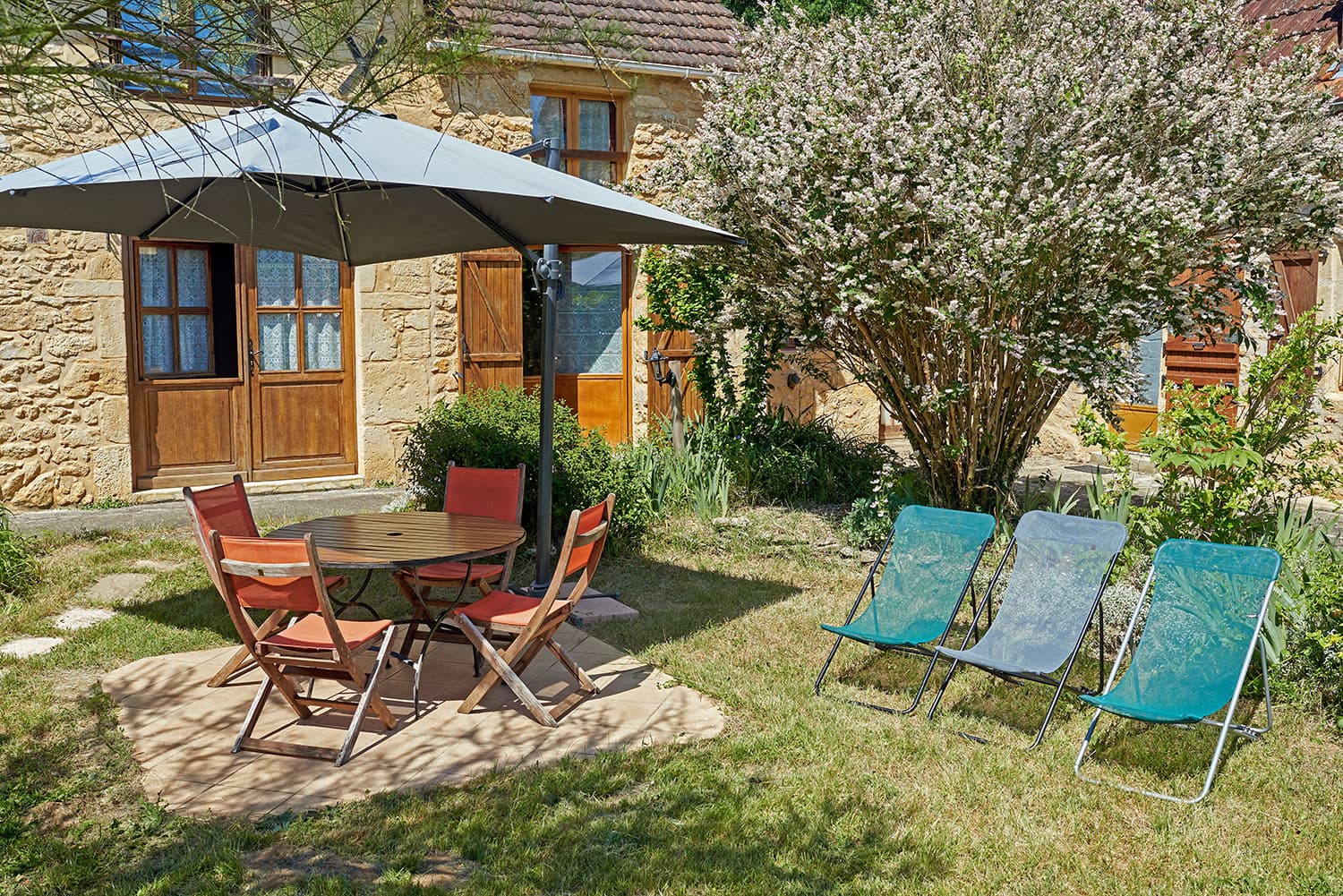 Cerisier-jardin_1
