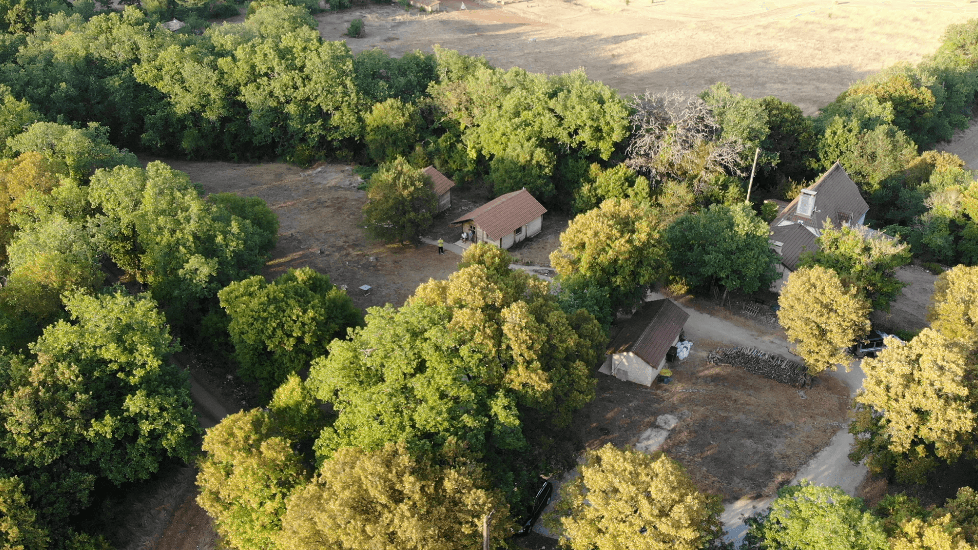Les Chalets d'Harald