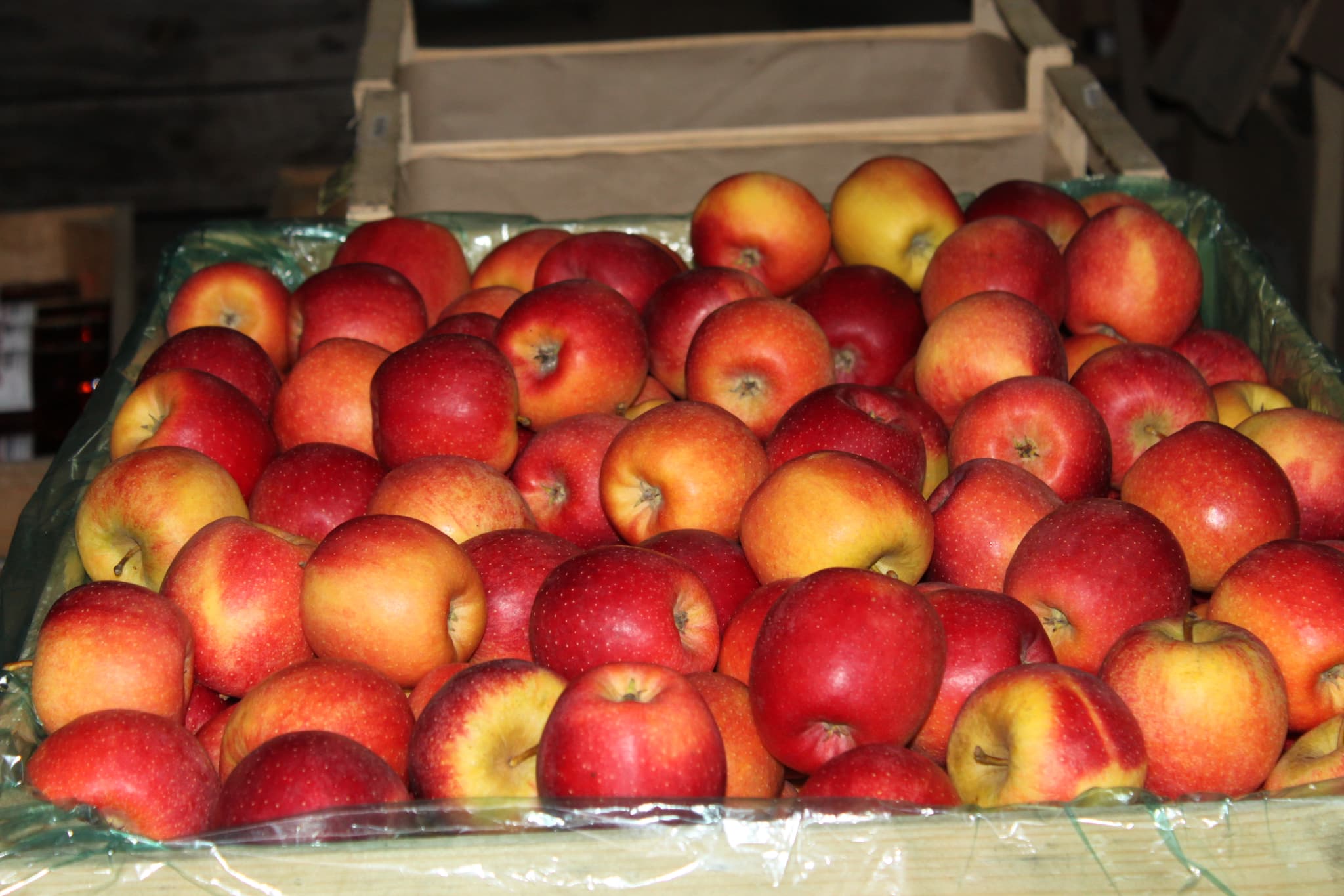 Pomme