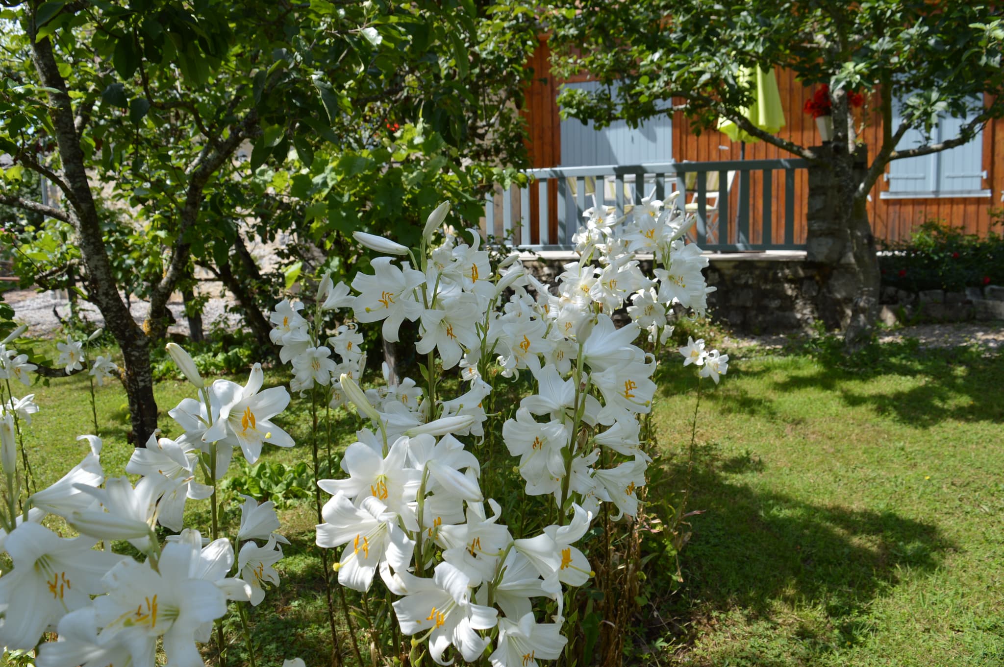 Gîte de Bonnefont