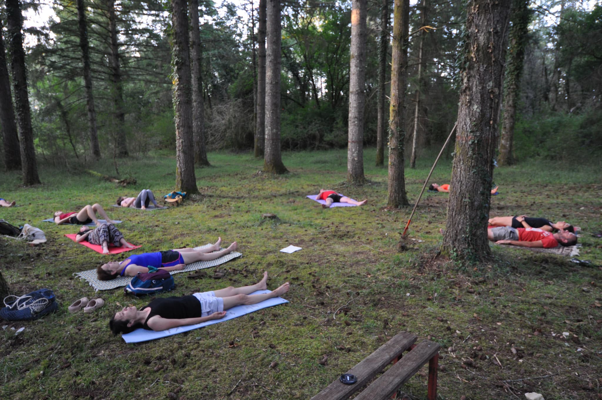 yoga en forêt
