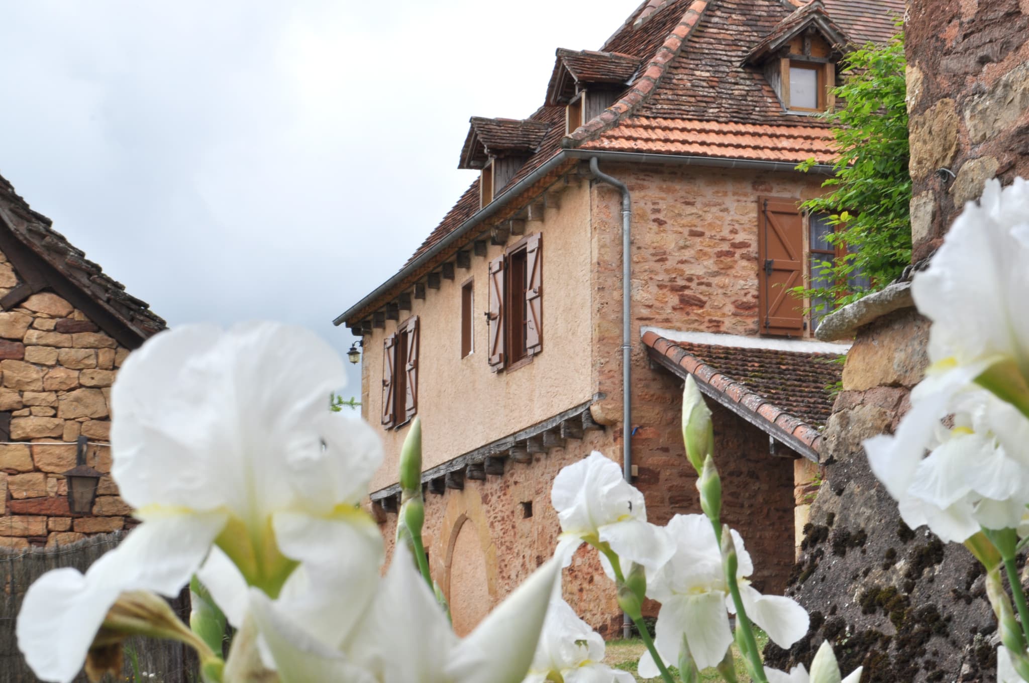 Vue maison