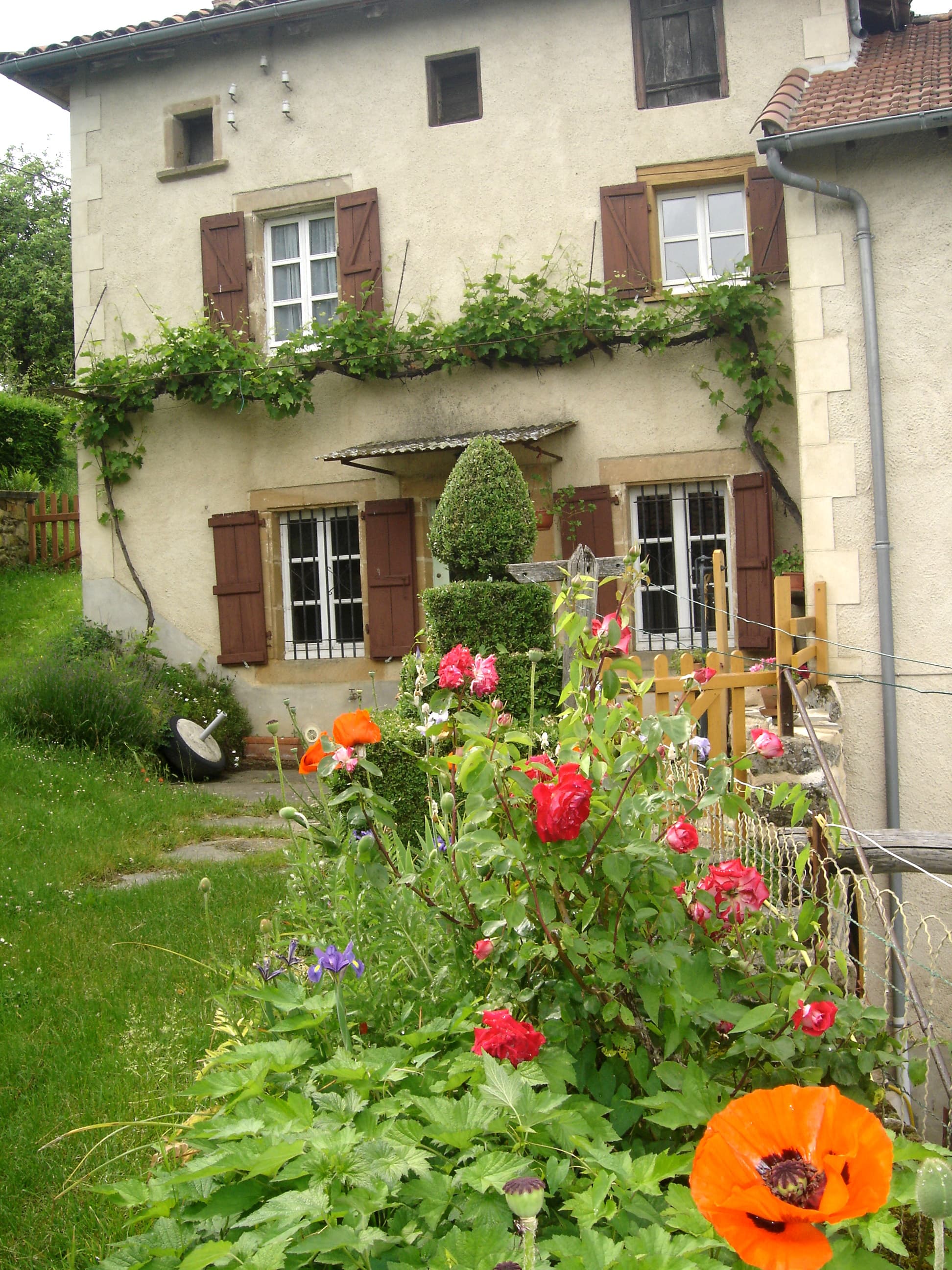 Maison