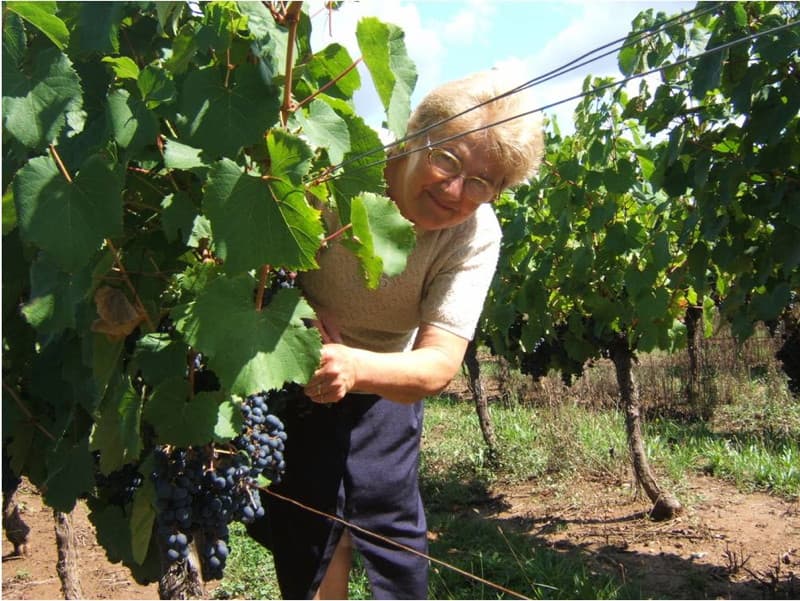 Domaine de Chantelle