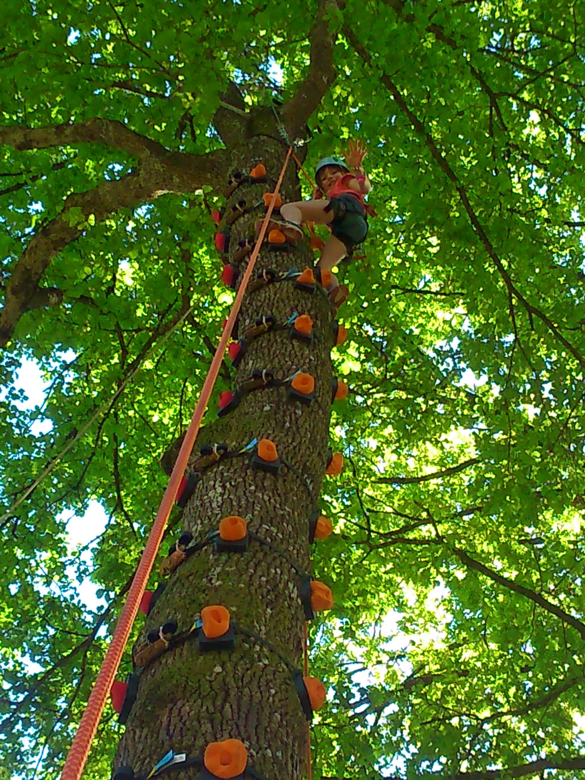 Cap Nature Parc de Loisirs Cahors - Accrobranche