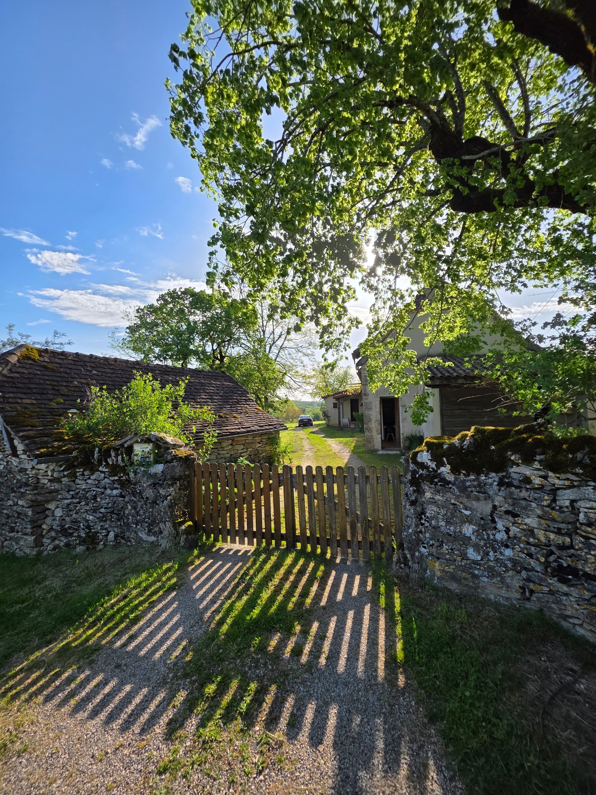 Entrée
