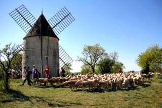 Transhumance Rocamadour-Luzech