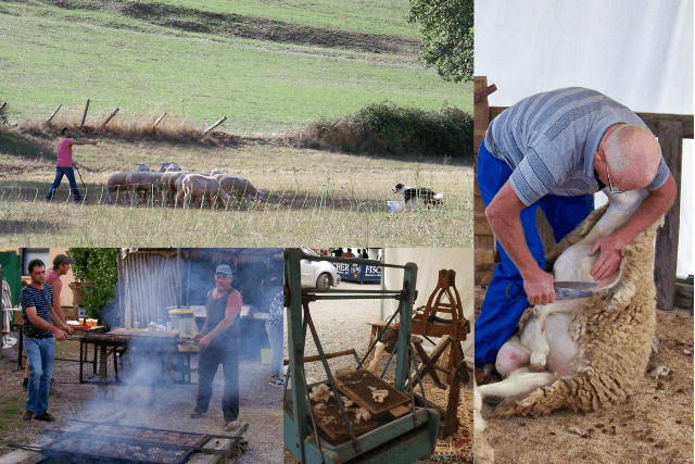 Fête de l'Agneau Thégra