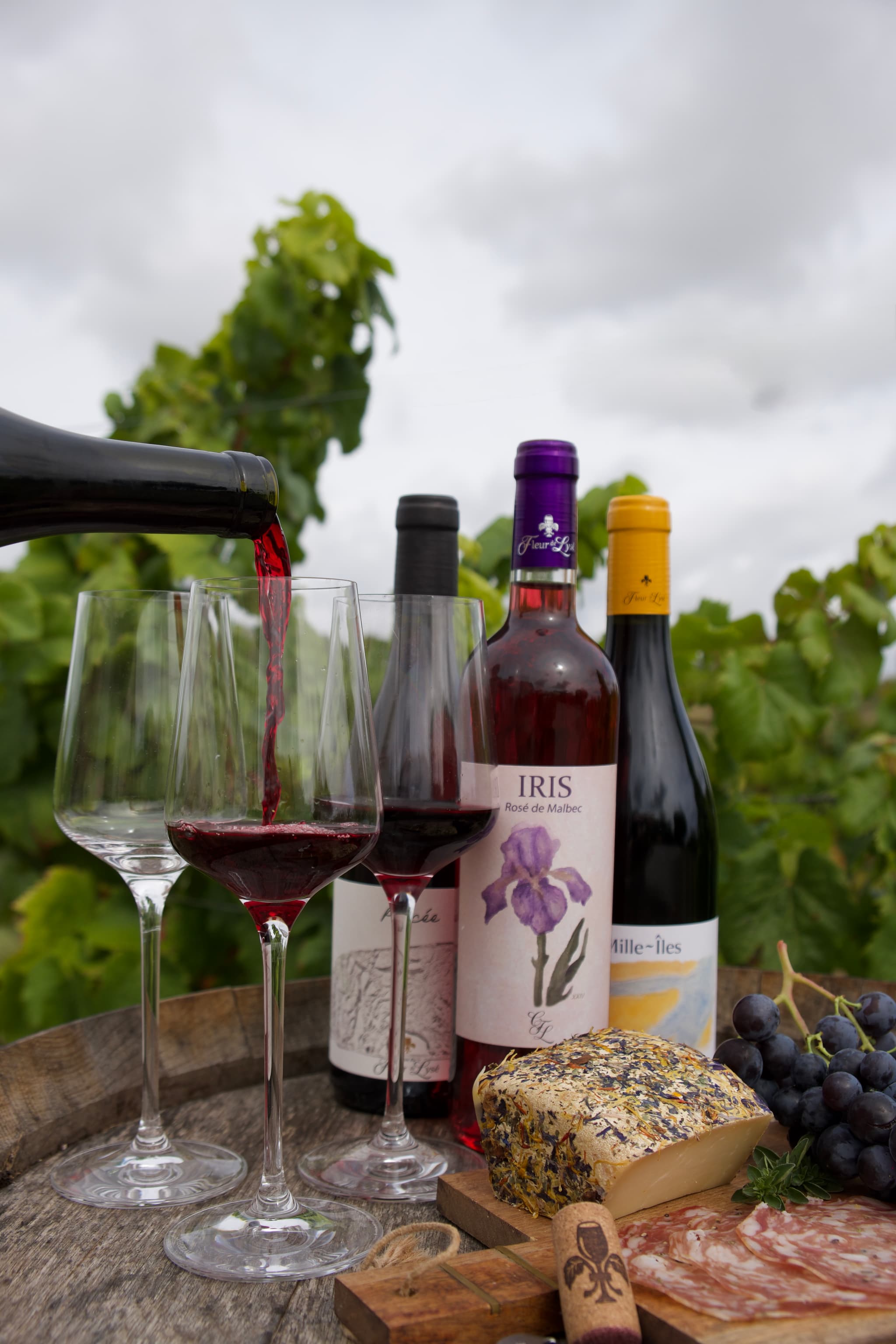 Clos du Fleur de Lysé