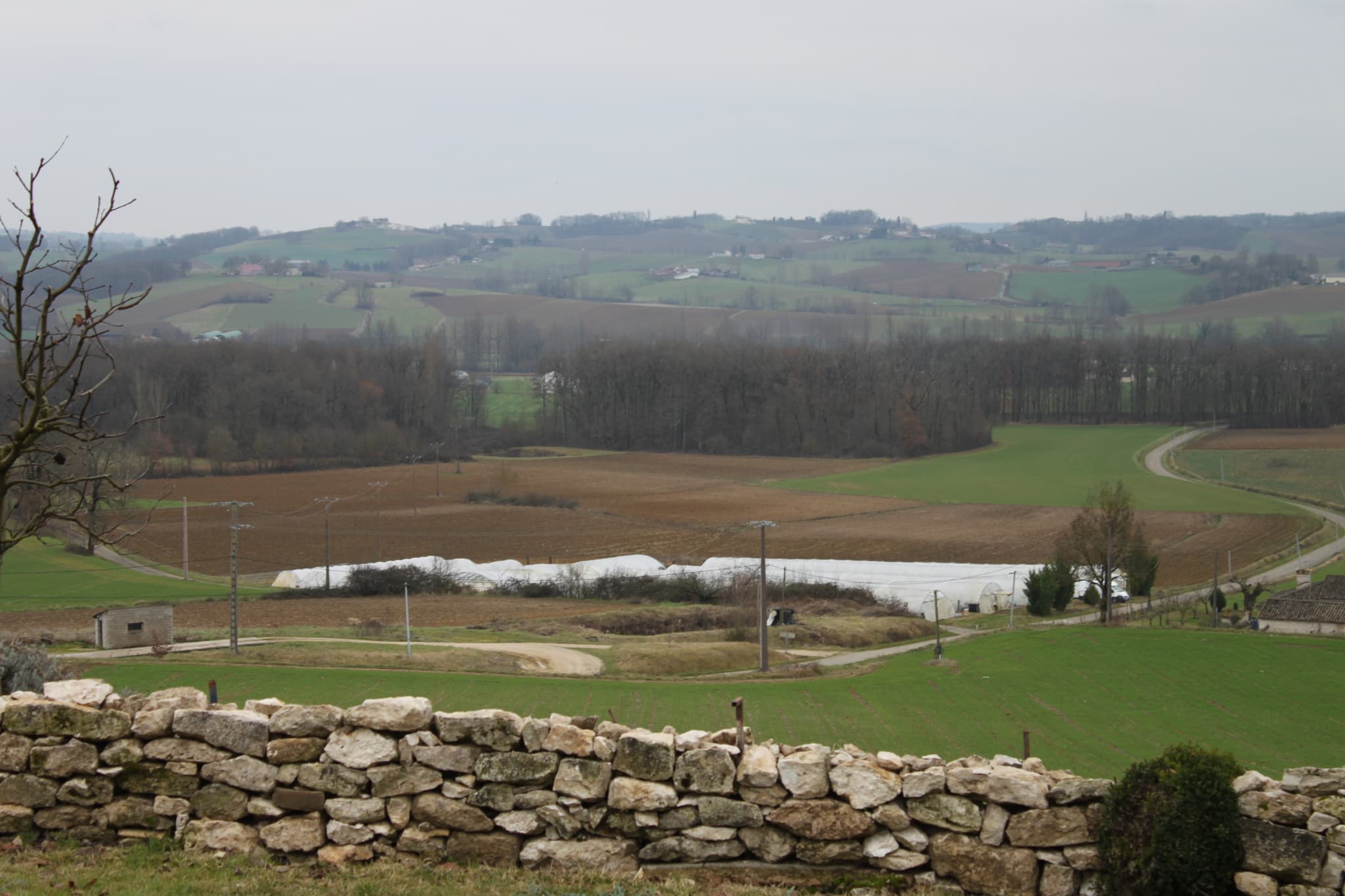 Gaec de Latreille