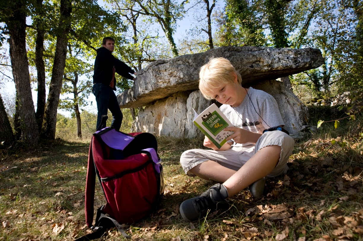 Dolmen Pierre Martine
