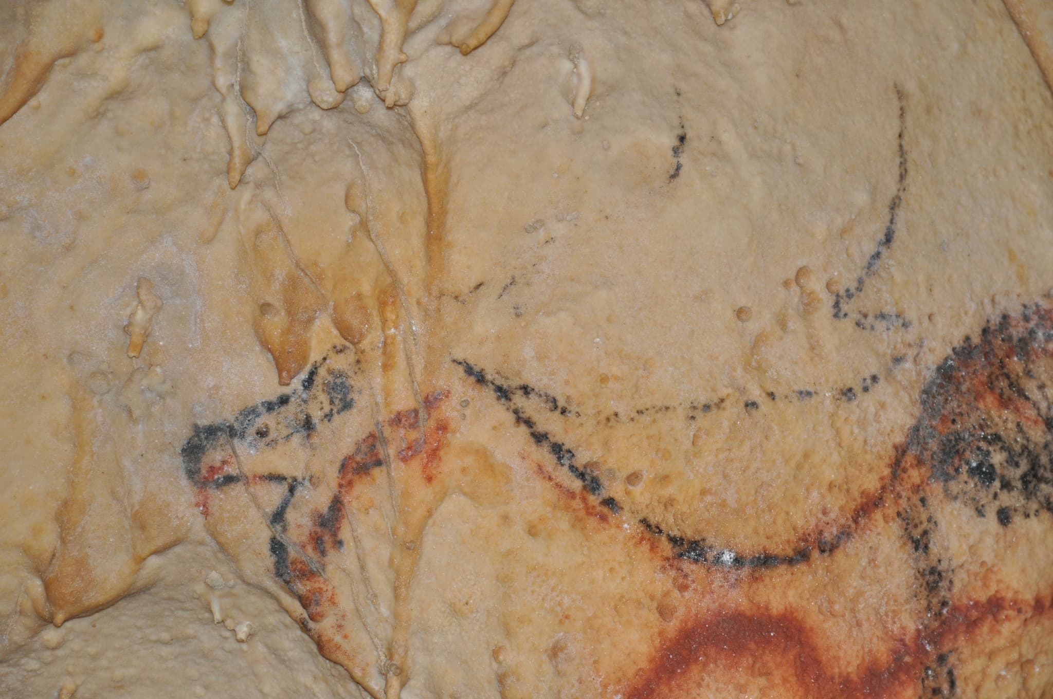 Grottes Préhistoriques de Cougnac
