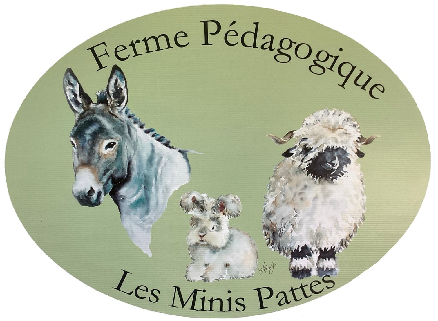 Les Minis Pattes