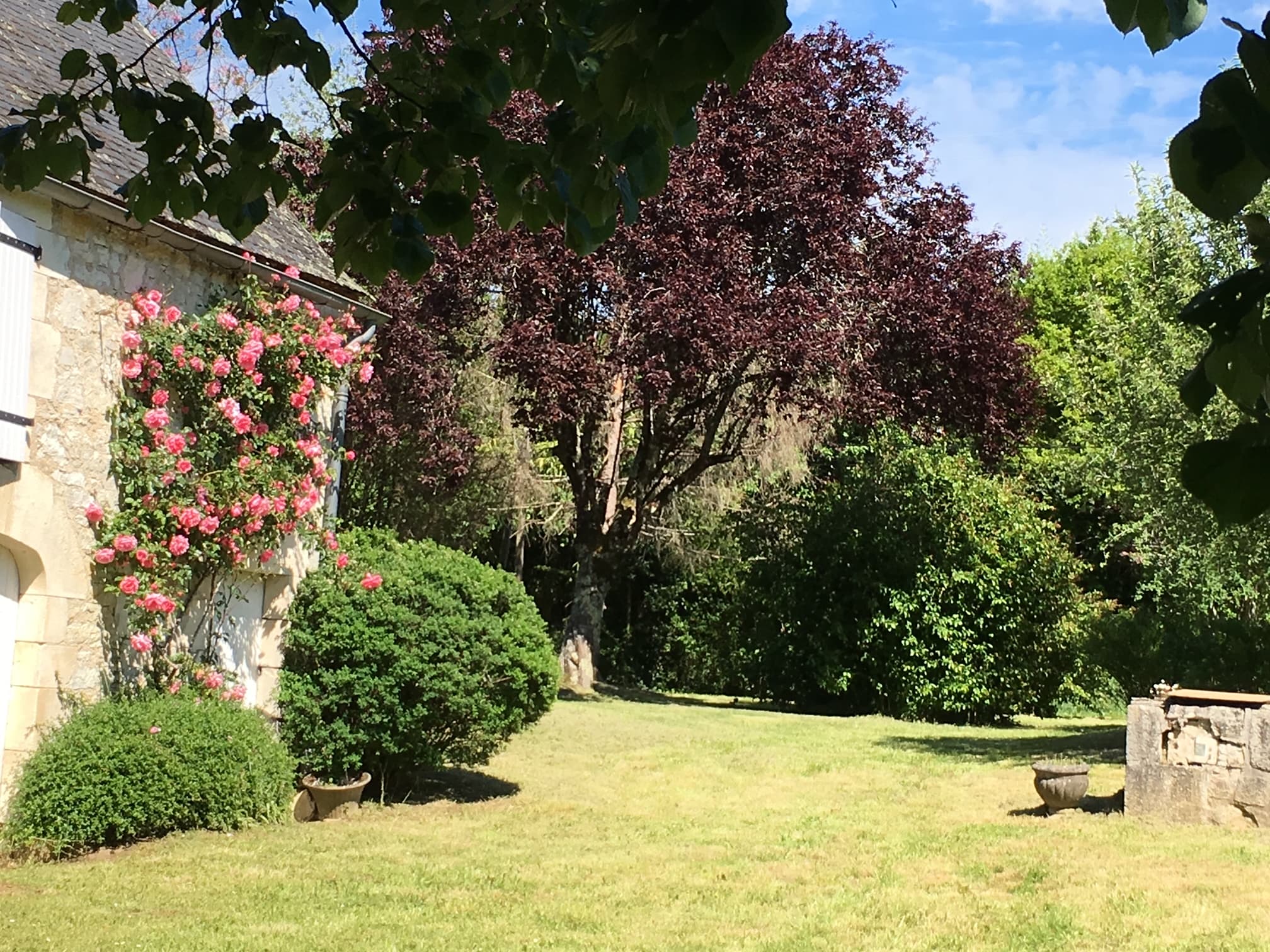 La Maison au tilleul
