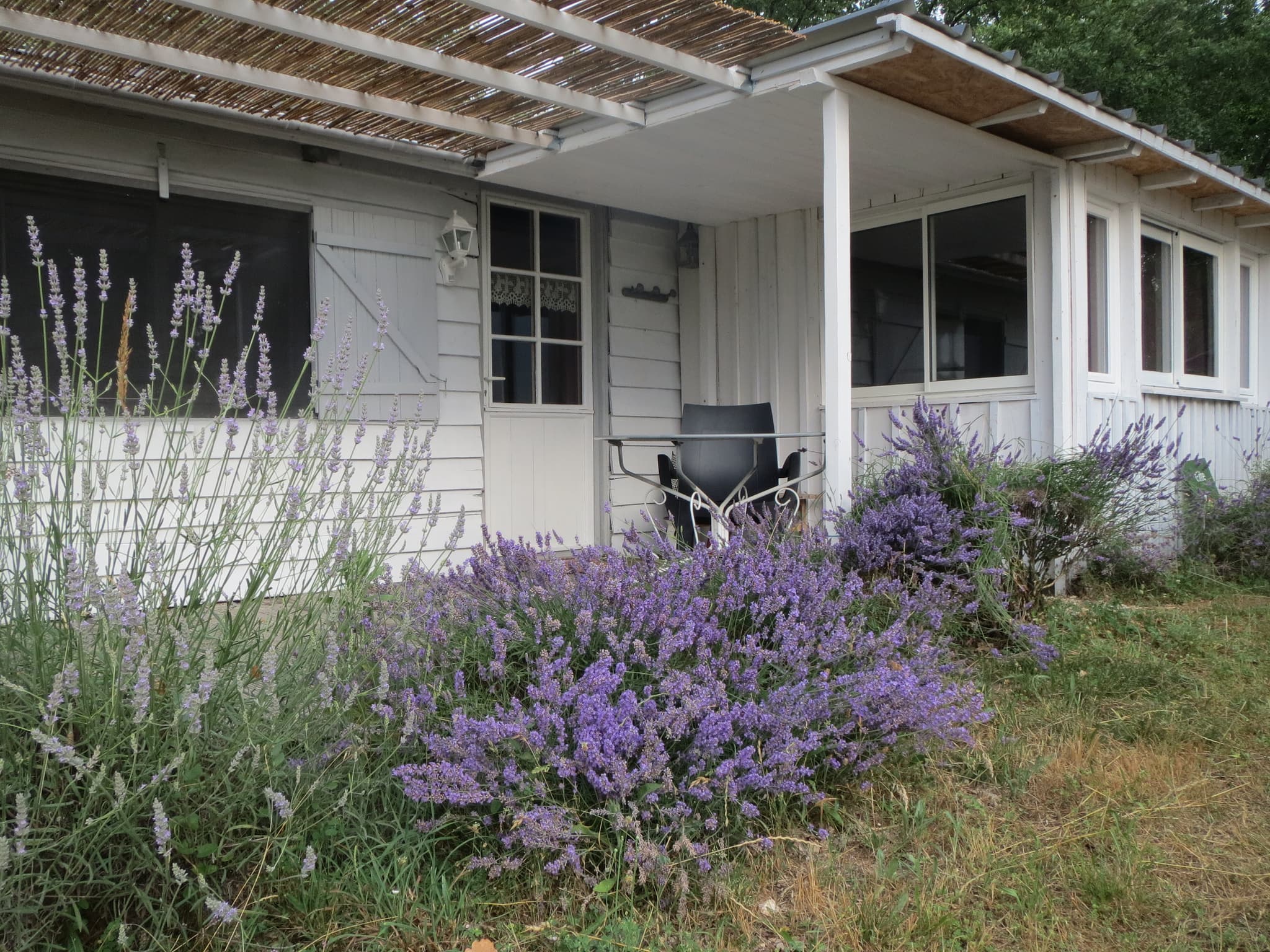 Le Petit Chalet des Terres Hautes