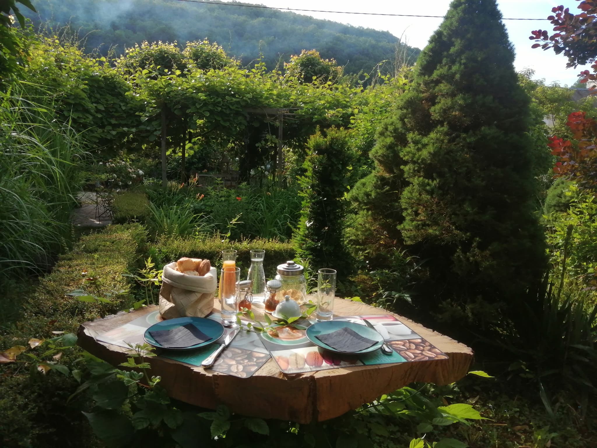 La Maison O Kiwis - Chambre d'hôtes