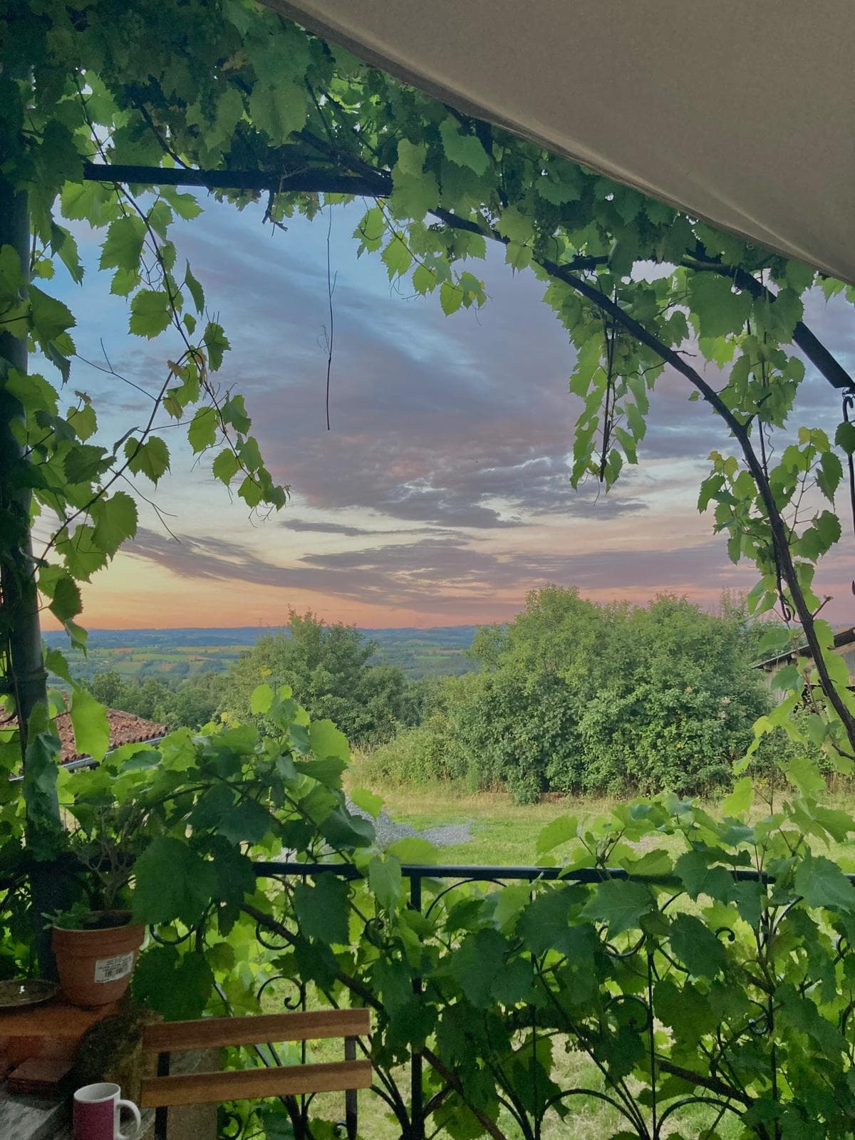 vue de la terrasse