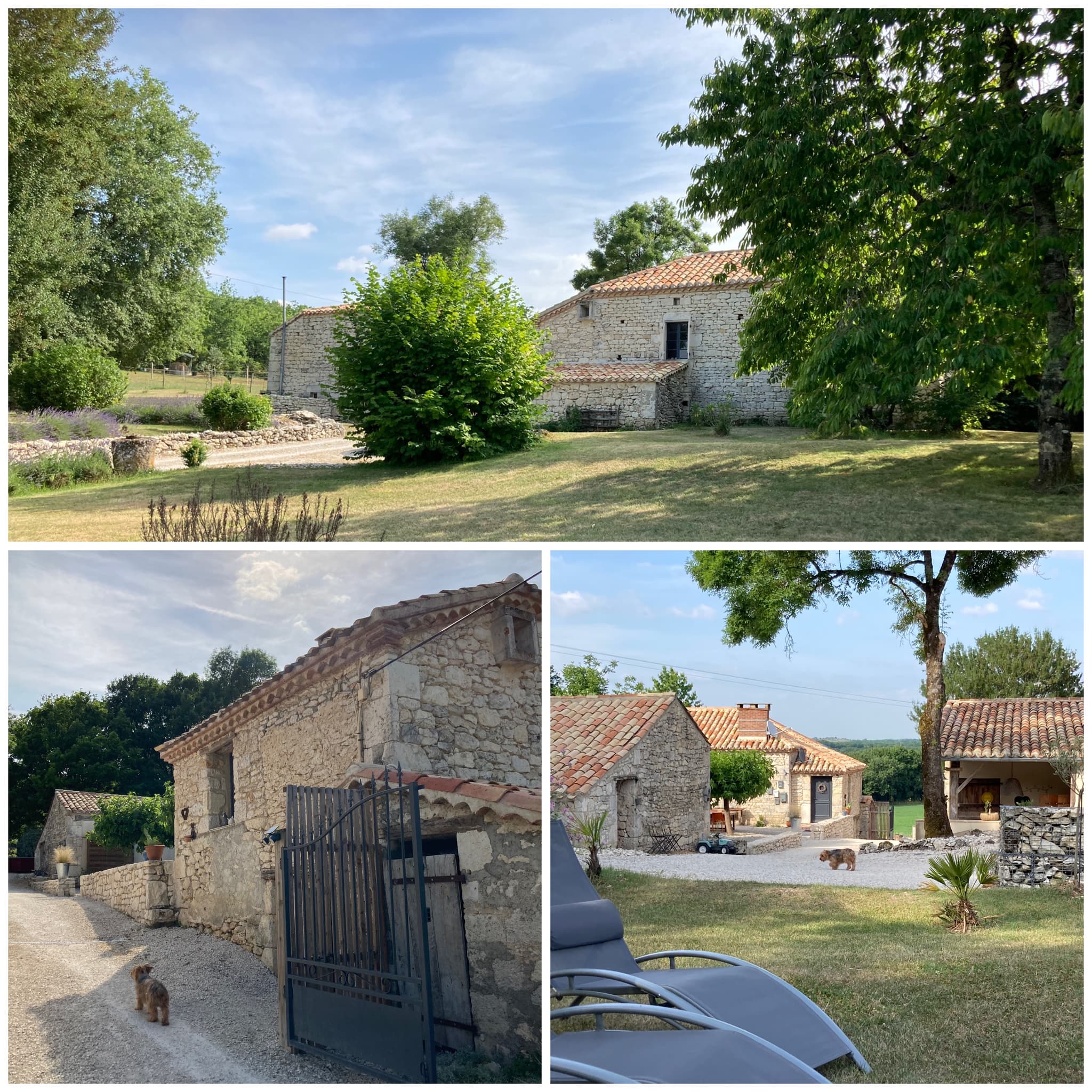 Gîtes Les Fontanelles du Quercy Blanc - Jules