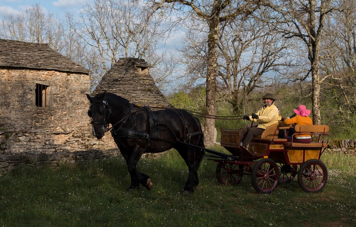 Balade en calèche sur le Causse de Limogne