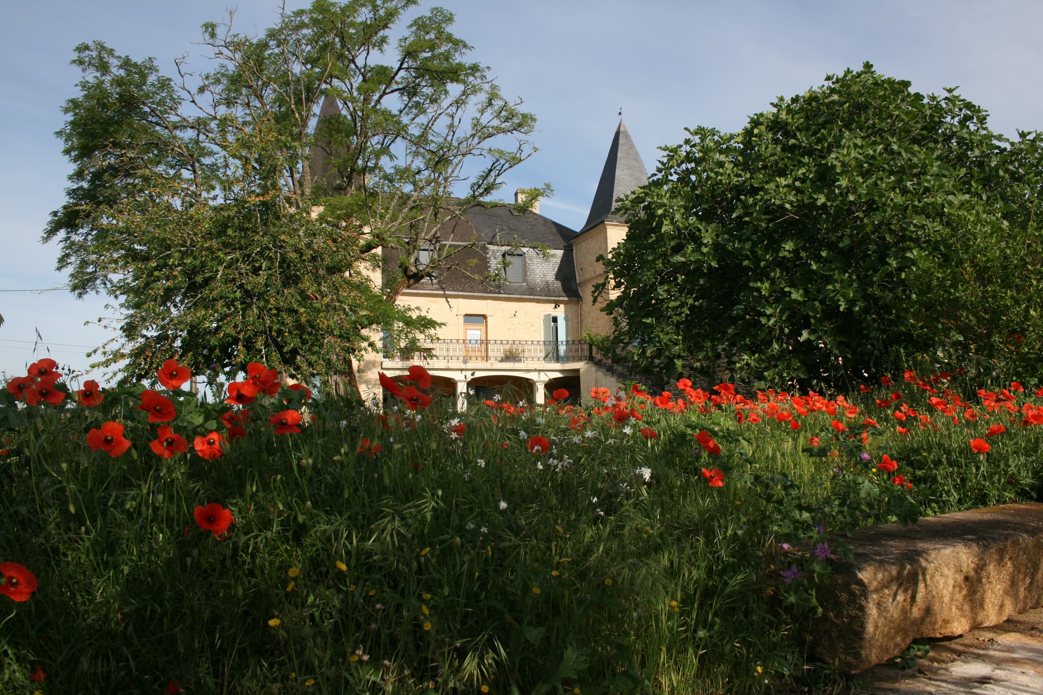 Domaine De Merlein