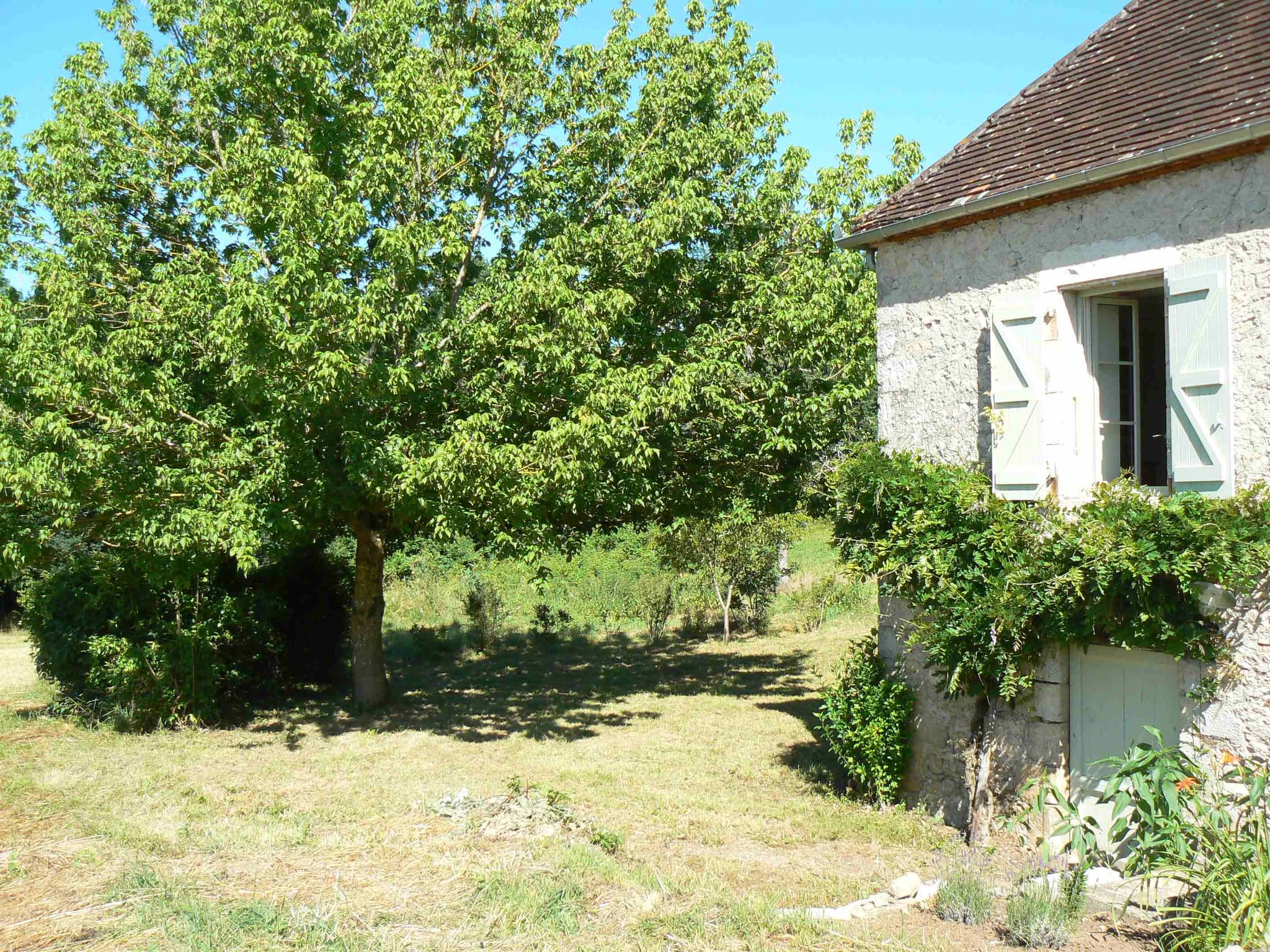 Jardin