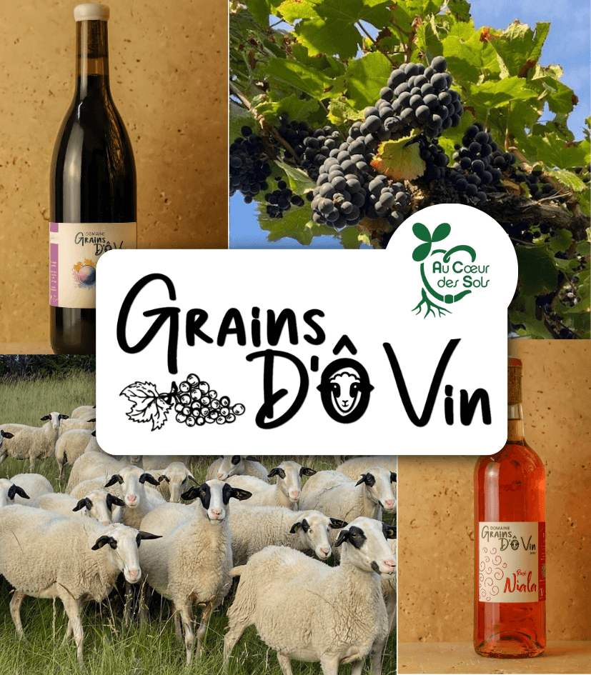 Grains d'O Vin