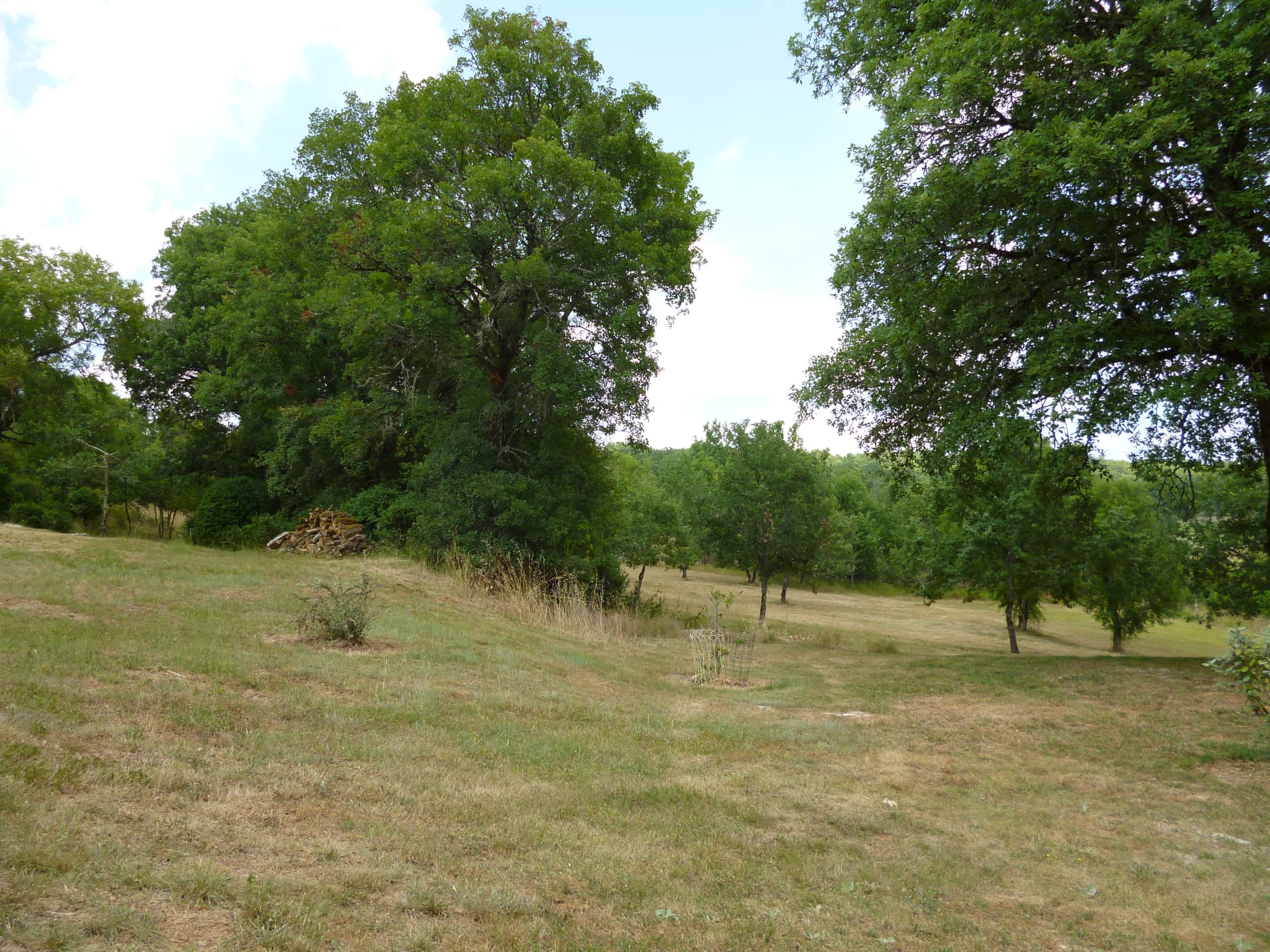La Grangette