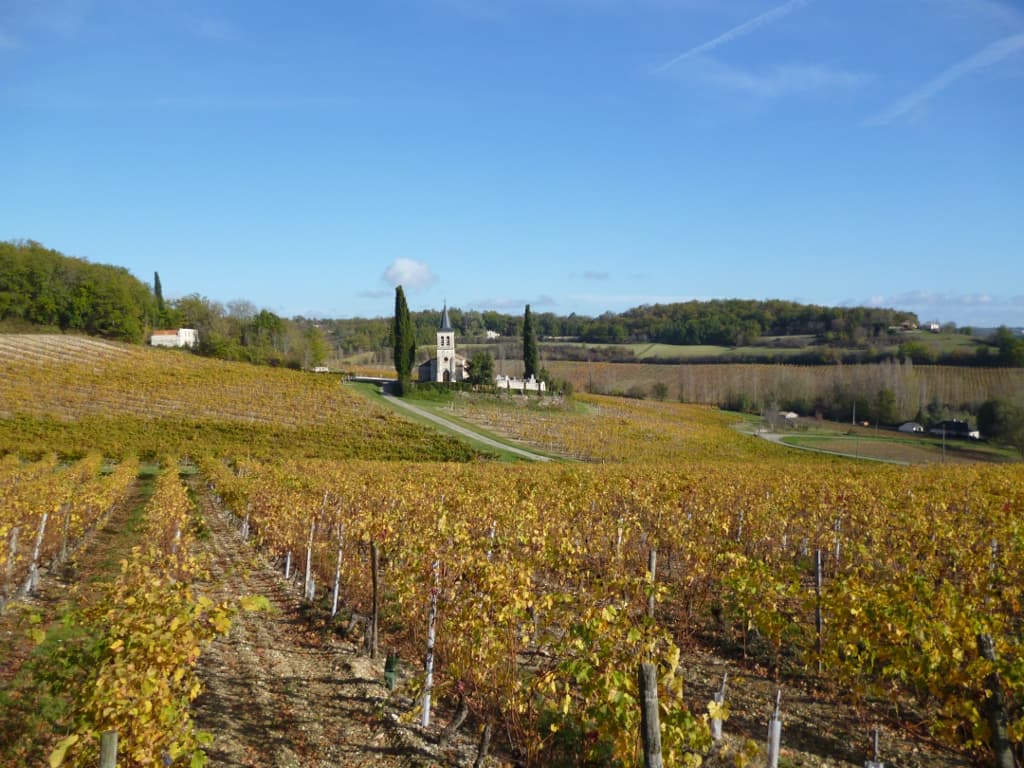 Paysage chai St Etienne