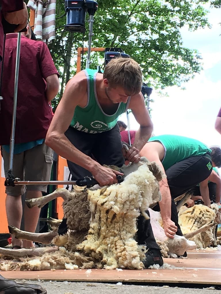Fête des tondailles de Martel