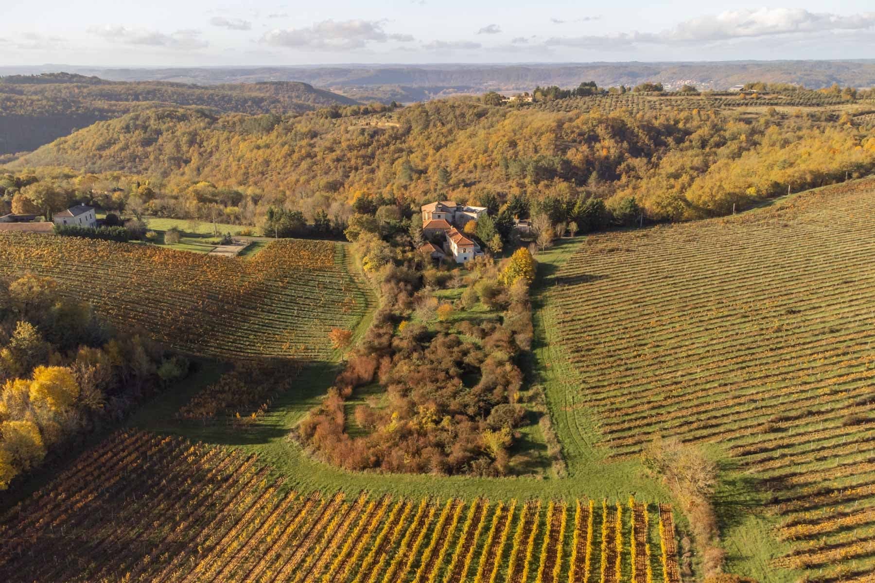 Vue aérienne du jardin