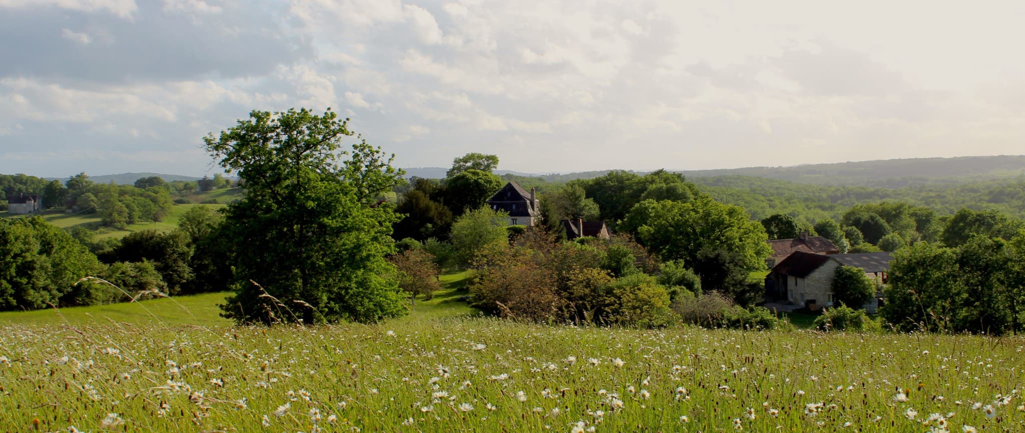 Vue-sur-le-Domaine-de-Grand-Lac