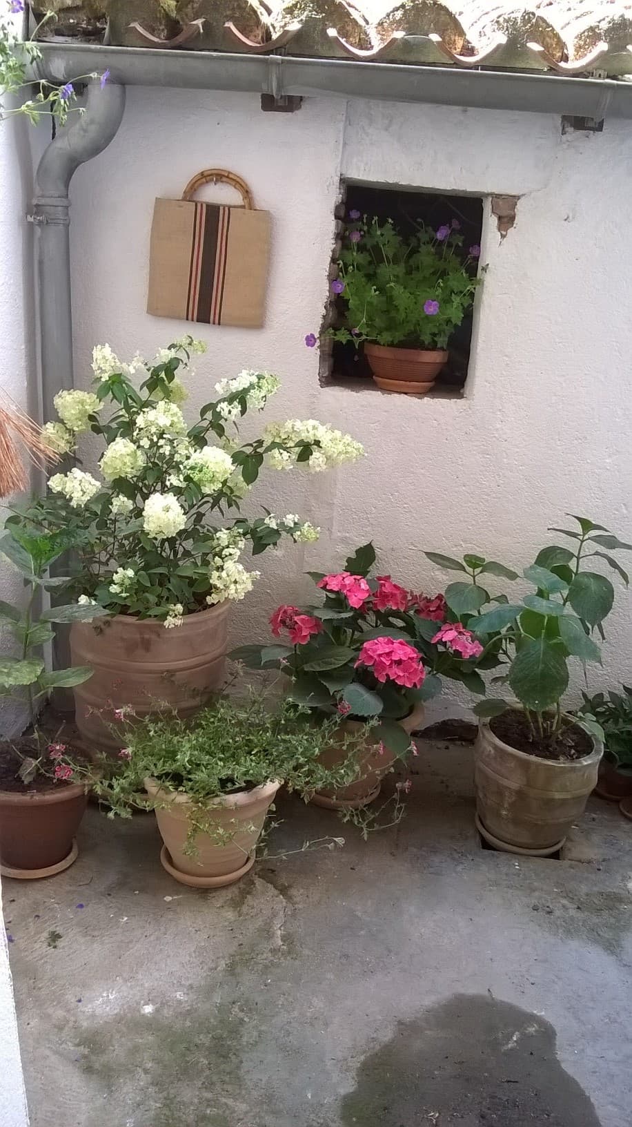 L'Atelier 55
