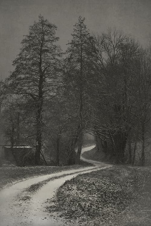 White Track