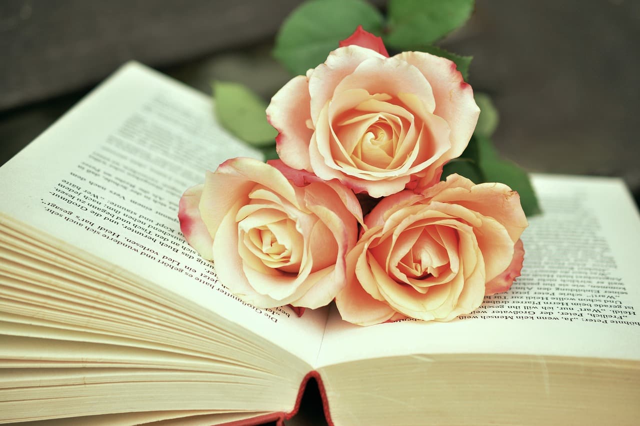 livre