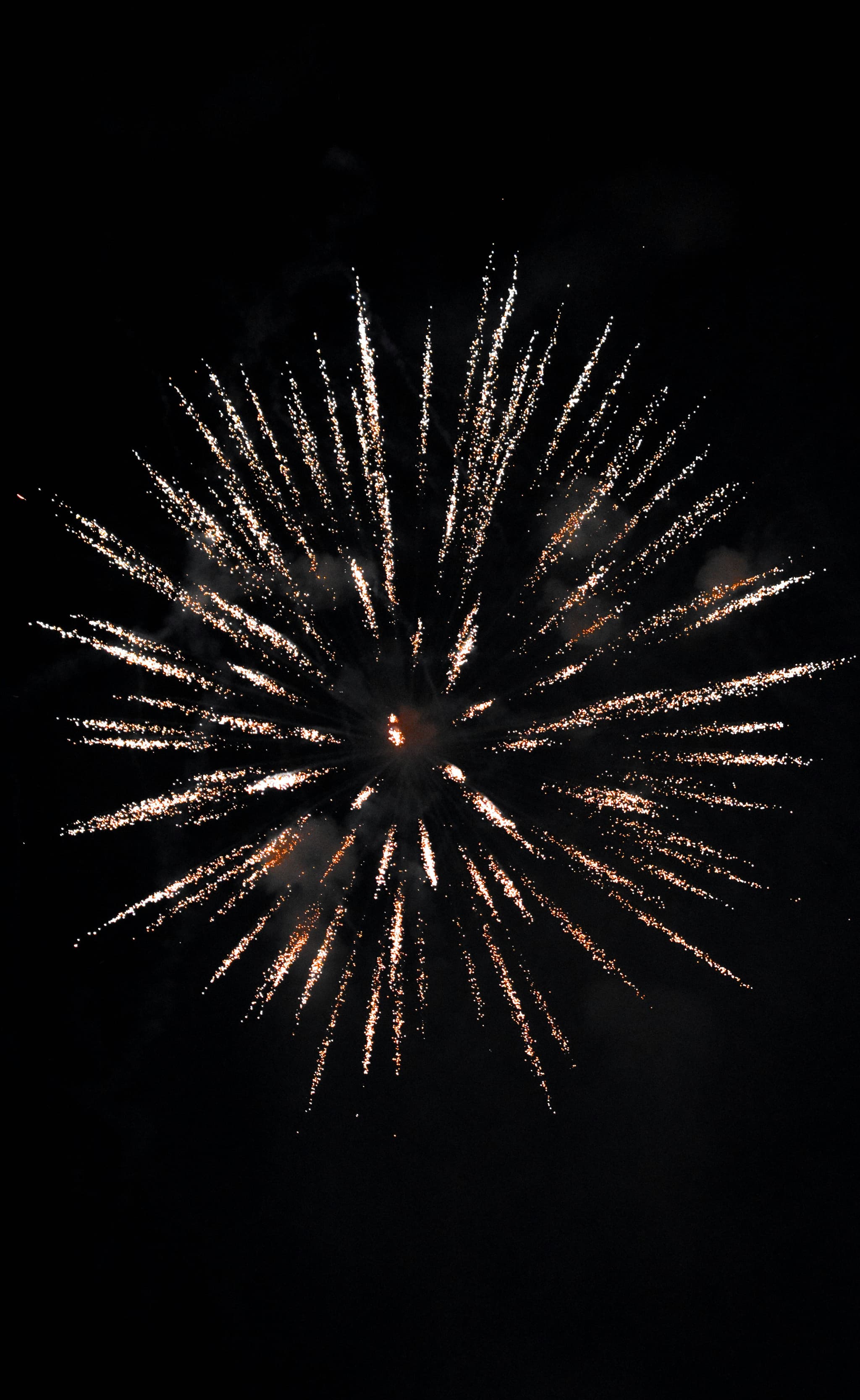 bryan-lopez-z4knuWP5MMk-unsplash