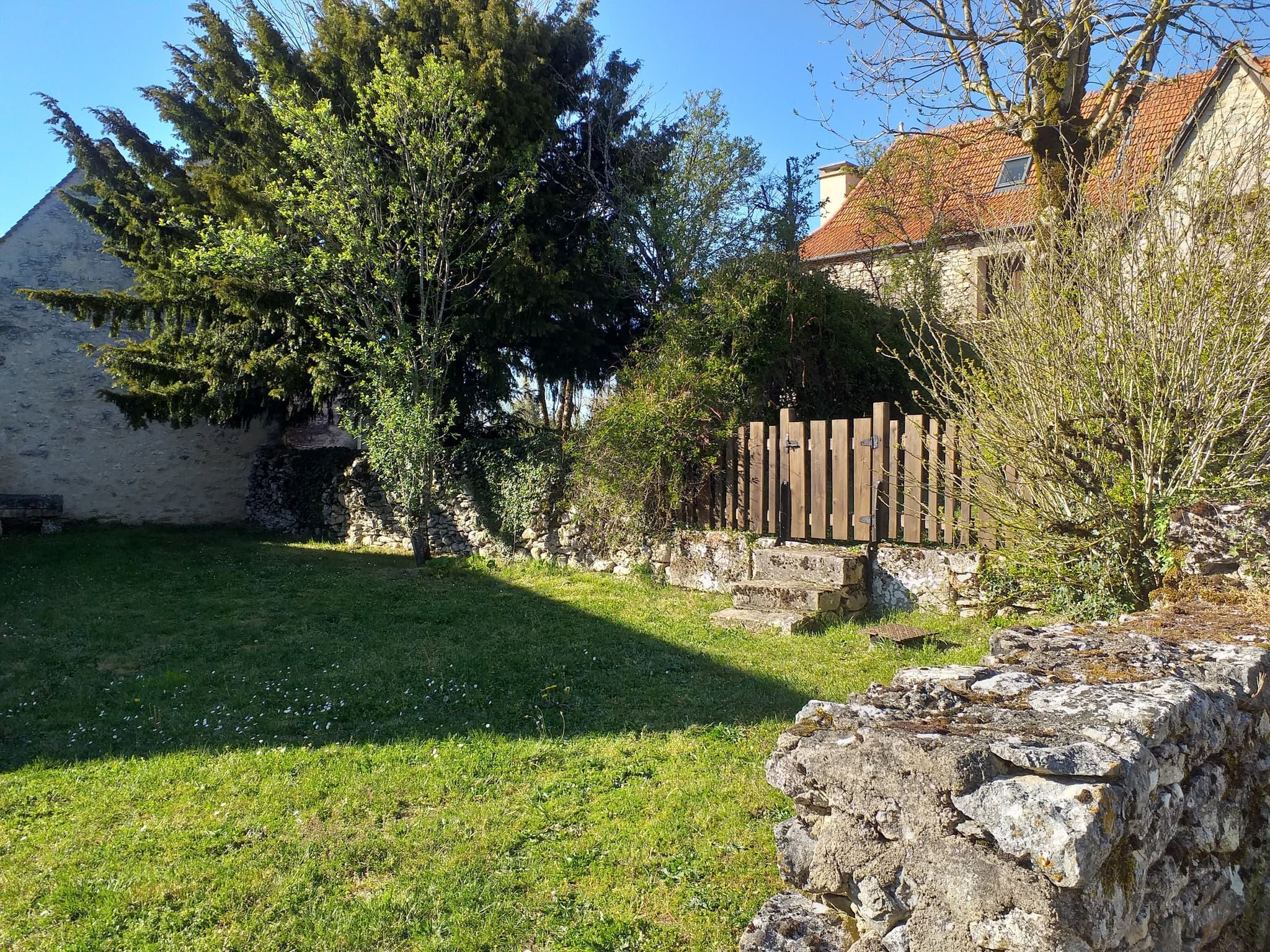 espace en herbe