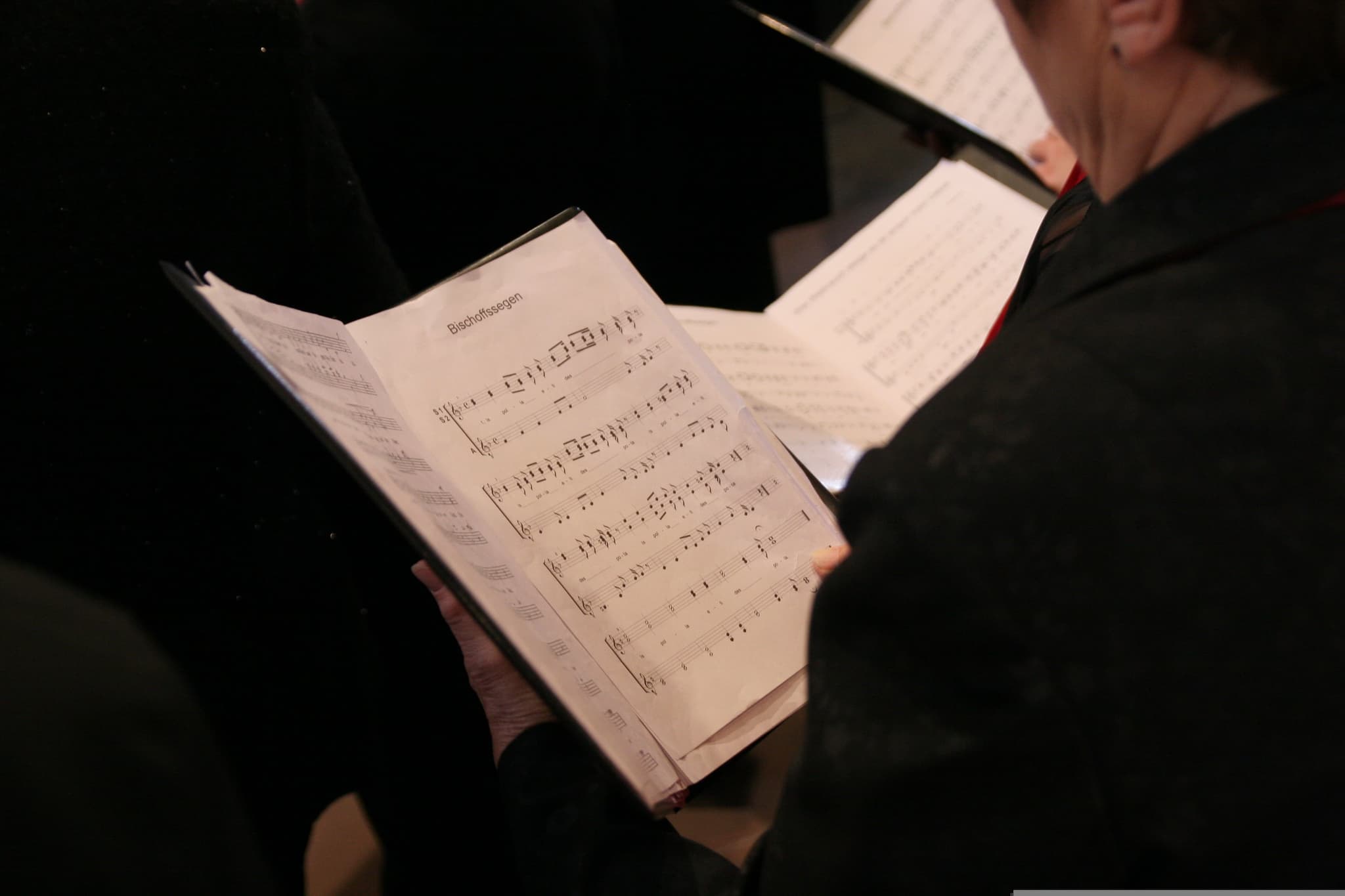 delphinmedia-choir-408422
