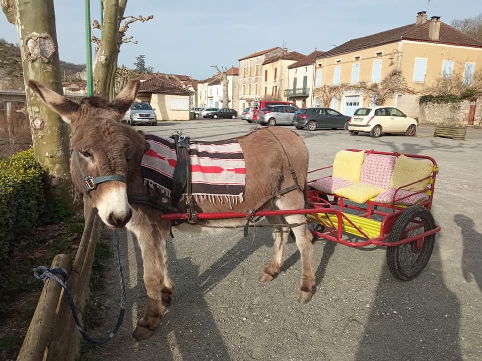 Entr'ânes