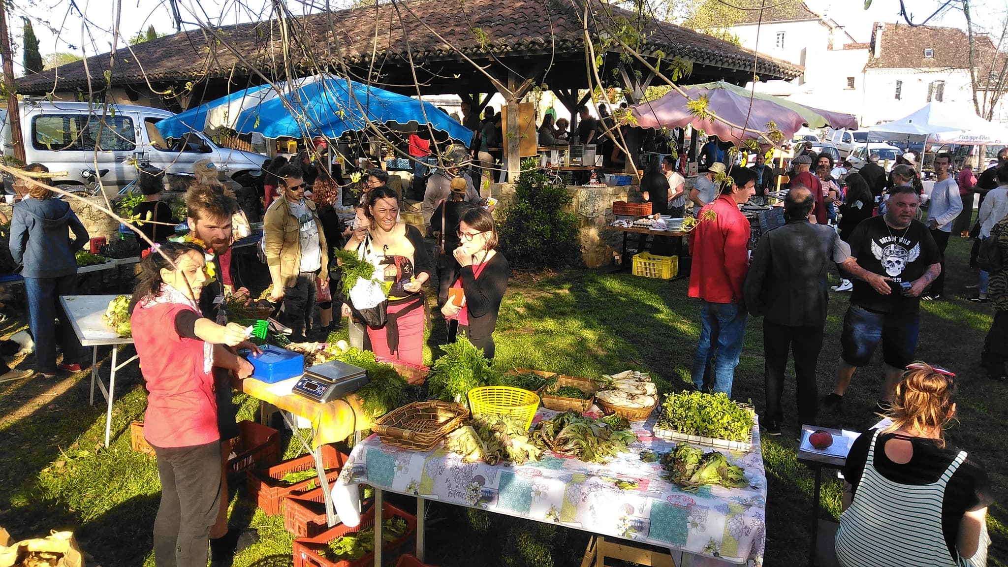 Fête de la Terre du CAP - 2023