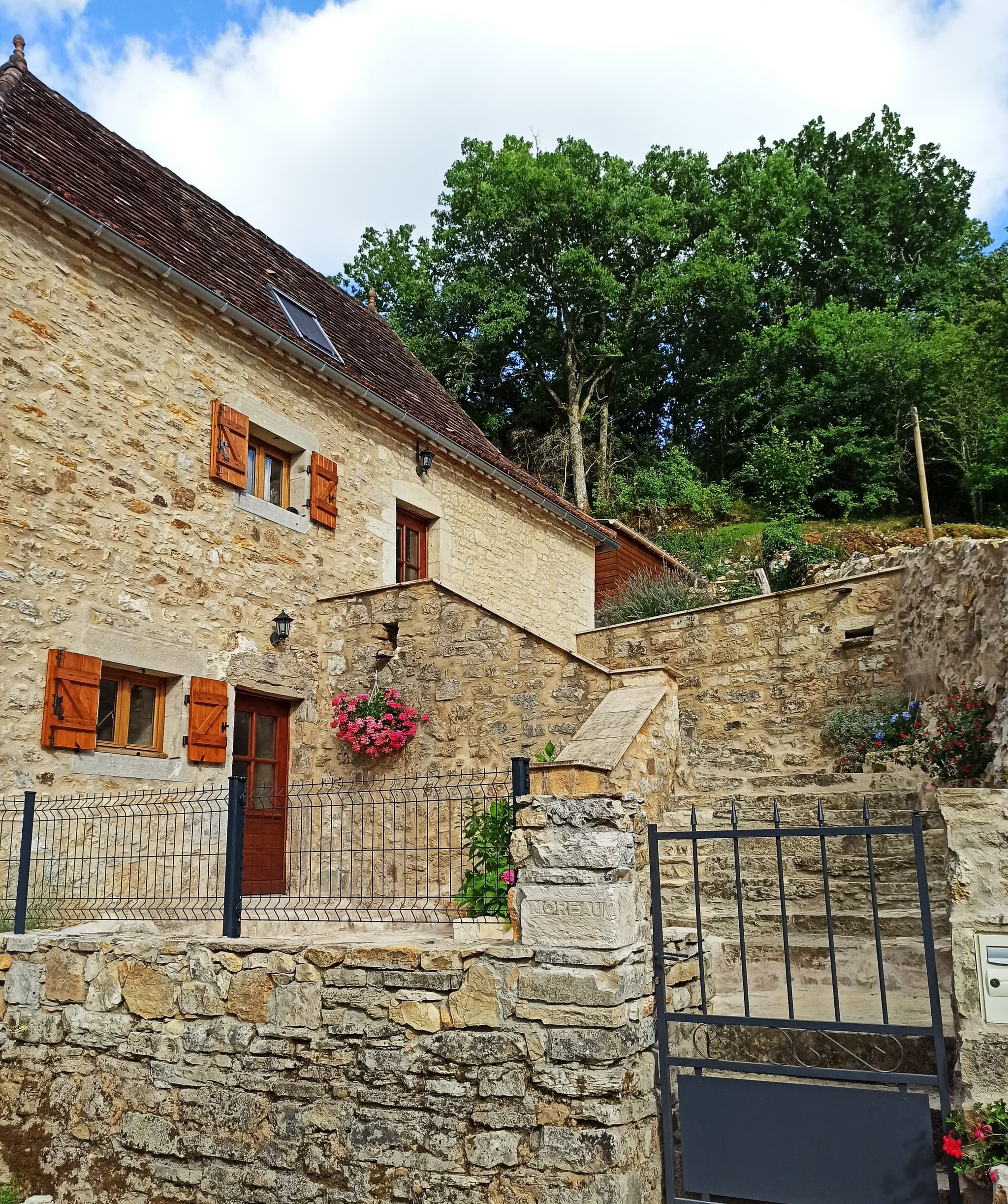 francotine 2