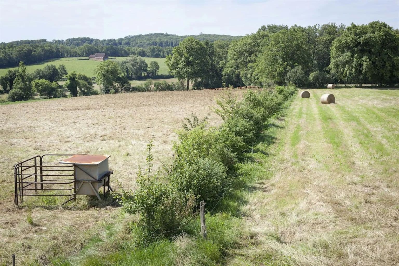 Des arbres et des champs, agroforesterie, visite de terrain à Reyrevignes