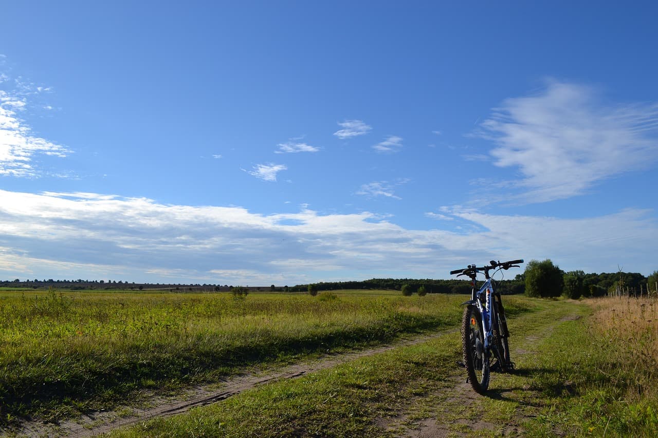 Vélos