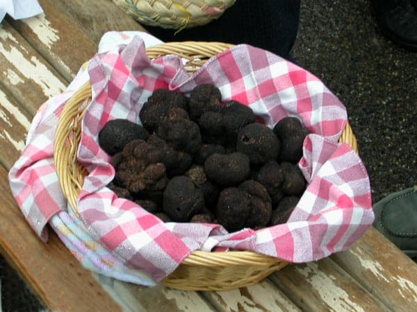 Marché aux Truffes à Limogne en Quercy