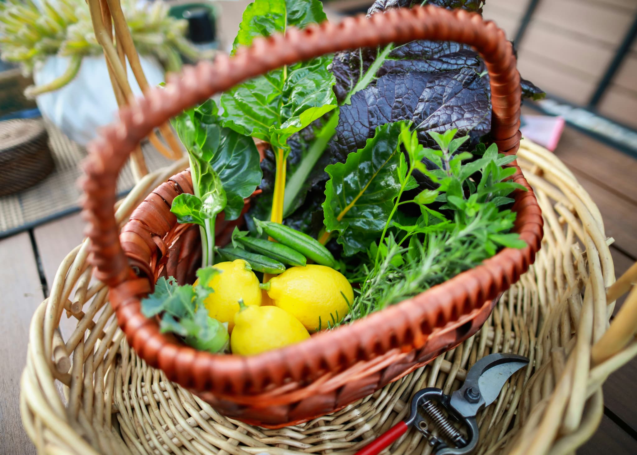 panier légumes