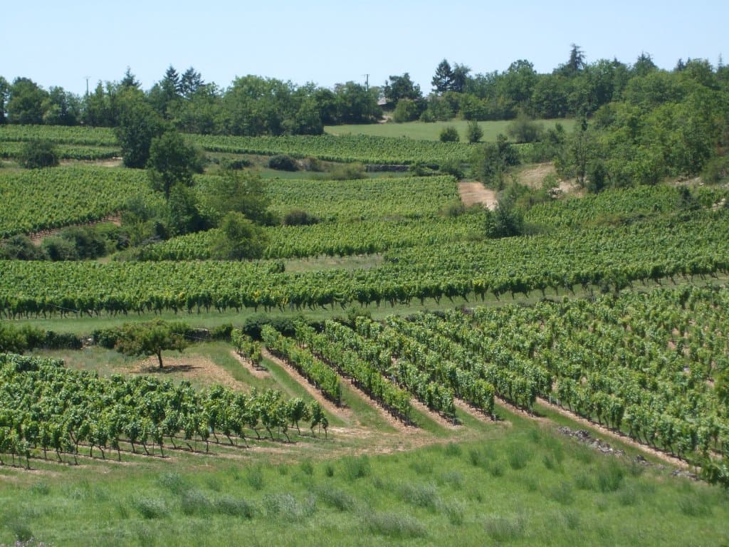 Domaine du Prince